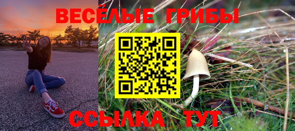 Рузаевка  Галлюциногенные грибы мицелий  Вход с VPN 